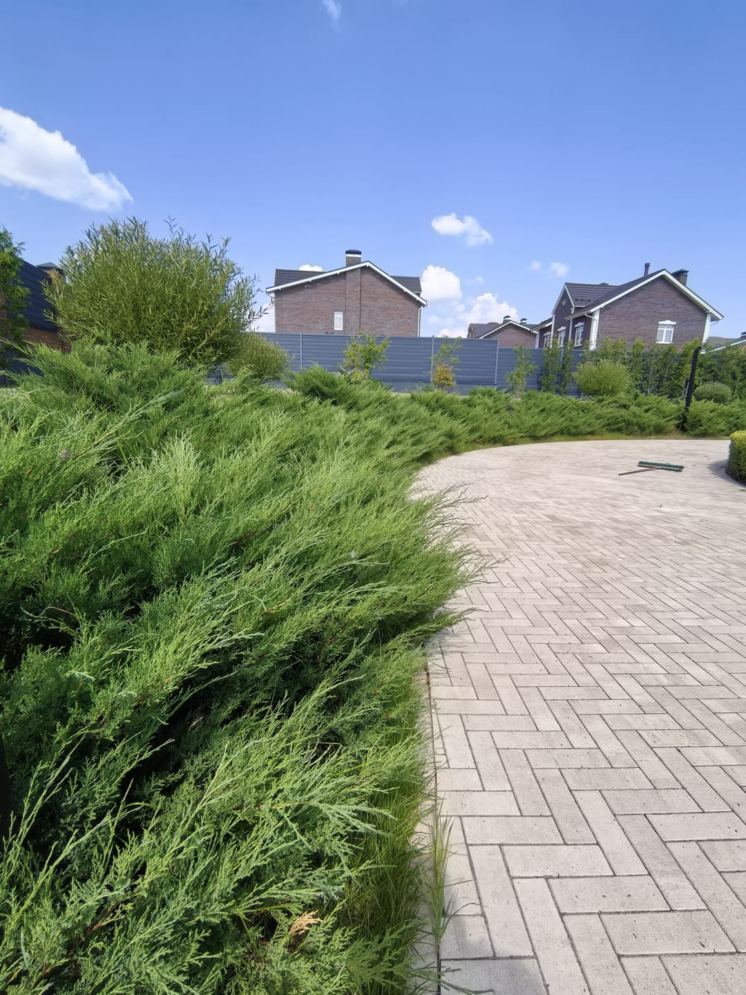 Steingot "Паркет" в цвете "Клифф", бордюр в цвете "Травертин"