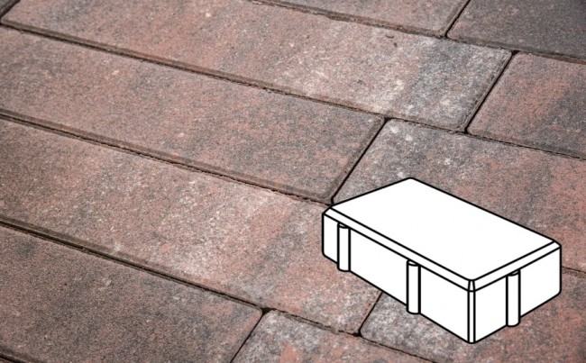 Готика Плитка тротуарная Natur, Брусчатка, Нептун, 200*100*60 мм