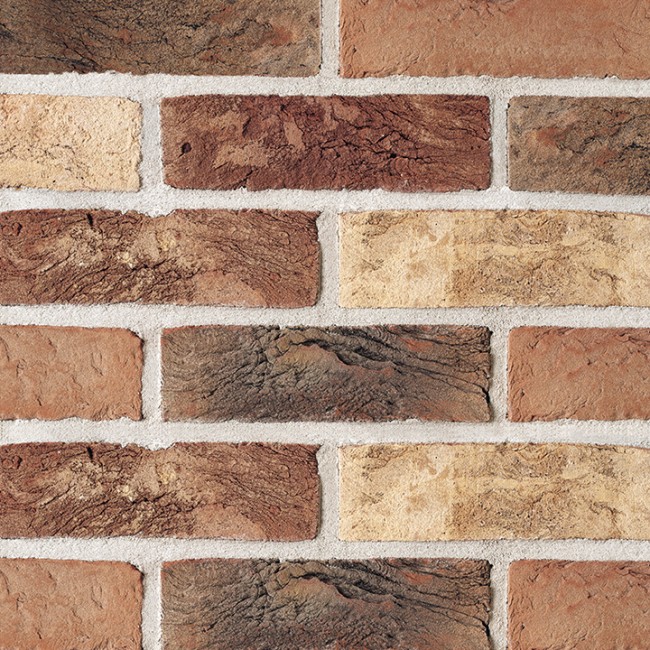 Terca Cienna WFD Terca Cienna WFD