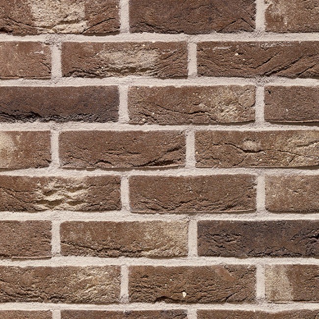 Terca Parido WFD Terca Parido WFD