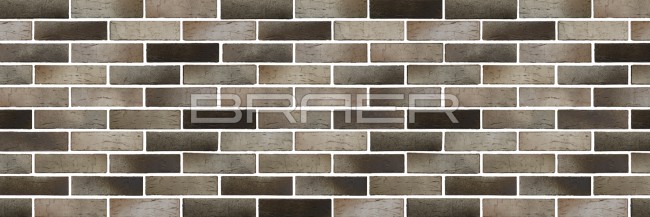 BRAER Кирпич одинарный облицовочный PRO 14.04.1 BRAER Кирпич одинарный облицовочный PRO 14.04.1