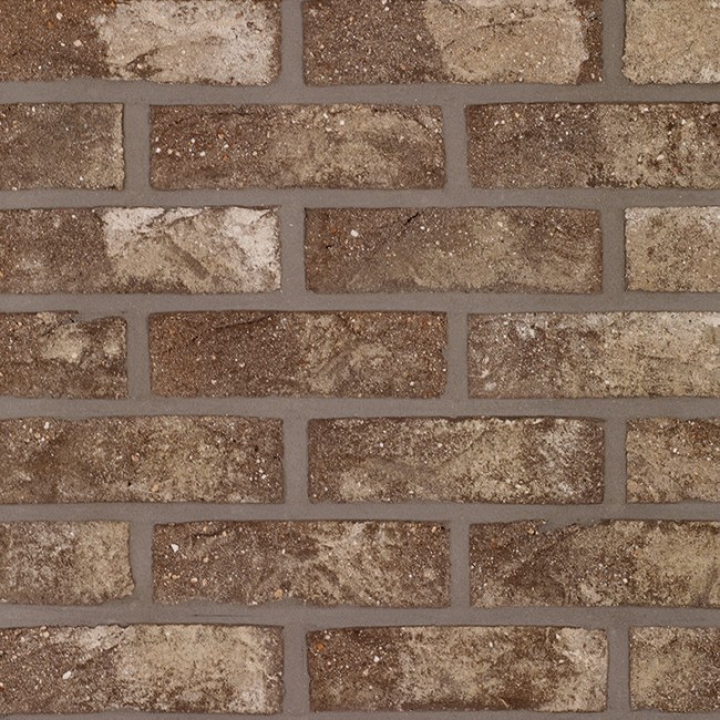 Terca Old Roman ECO WFD