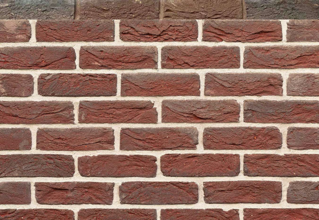 Донские зори ВИШНЯКОВО Донские зори ВИШНЯКОВО