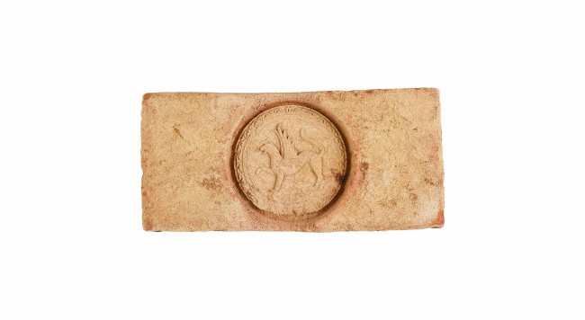 Донские зори c клеймом БАРСА Донские зори c клеймом БАРСА