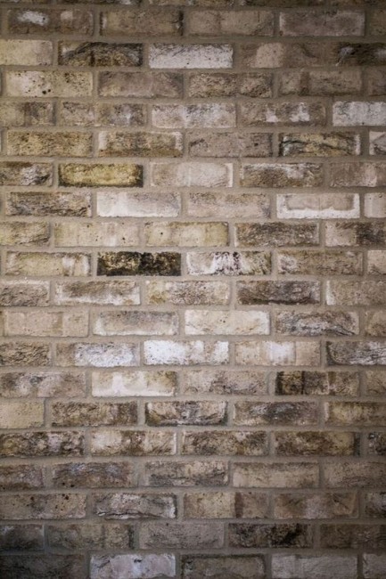 Engels Baksteen Taiga