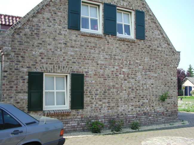 Engels Baksteen Taiga