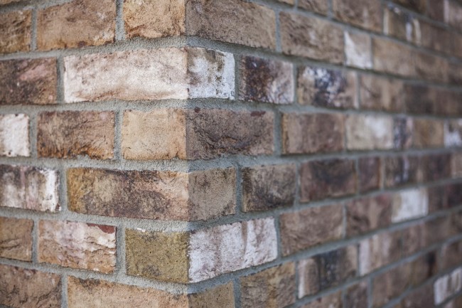 Engels Baksteen Taiga