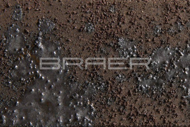 BRAER Кирпич одинарный облицовочный PRO 78.09 BRAER Кирпич одинарный облицовочный PRO 78.09