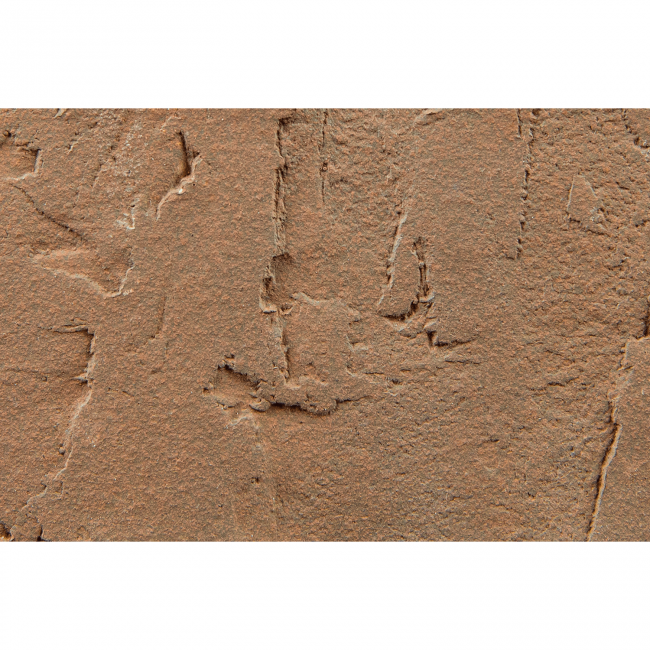 BRAER Облицовочный кирпич БРАЕР КЛАДКА терра 1,4 NF BRAER Облицовочный кирпич БРАЕР КЛАДКА терра 1,4 NF