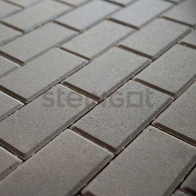 Steingot Тротуарная плитка Прямоугольник 200*100*60 Серый (полный прокрас, минифаска)