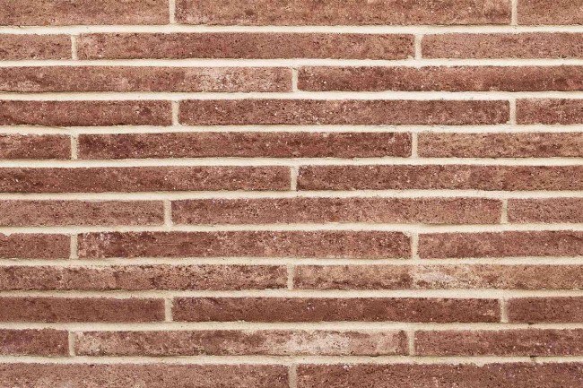 ЗВЕЗДА ригель ЗВЕЗДА ригель