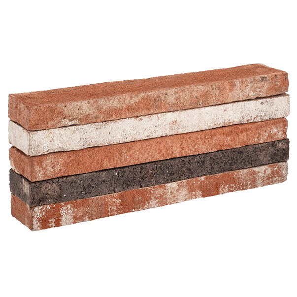 ВИКТОРИЯ ригель ВИКТОРИЯ ригель