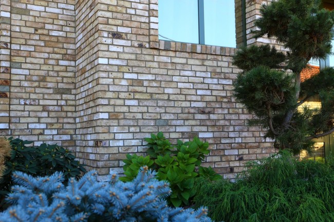 Engels Baksteen Canyon