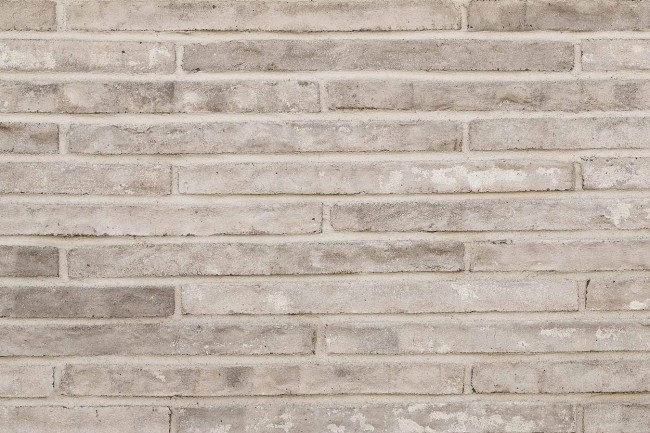 ПЕТЕРСЕН ригель ПЕТЕРСЕН ригель