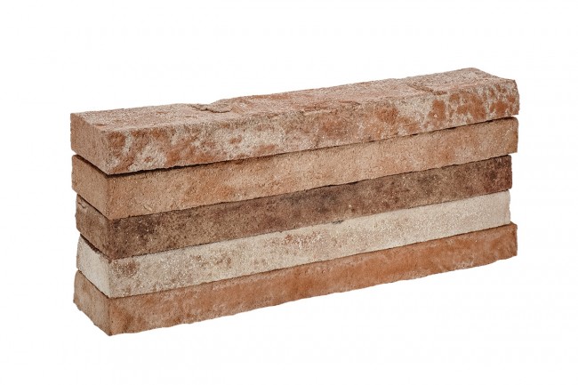 РЕНАРДЪ ригель РЕНАРДЪ ригель