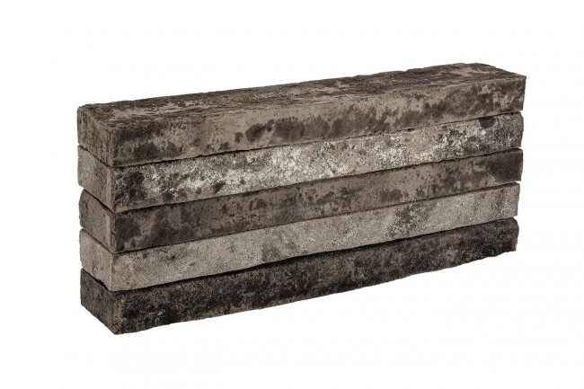 ОРЛОВЪ ригель ОРЛОВЪ ригель